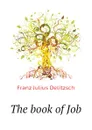 The book of Job - Franz Julius Delitzsch