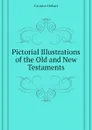 Pictorial Illustrations of the Old and New Testaments - Caunter Hobart