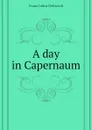 A day in Capernaum - Franz Julius Delitzsch