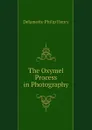 The Oxymel Process in Photography - Delamotte Philip Henry