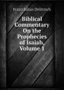 Biblical Commentary On the Prophecies of Isaiah, Volume 1 - Franz Julius Delitzsch