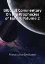 Biblical Commentary On the Prophecies of Isaiah, Volume 2 - Franz Julius Delitzsch