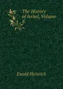The History of Israel, Volume 8 - Ewald Heinrich
