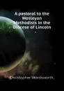 A pastoral to the Wesleyan Methodists in the Diocese of Lincoln - Christopher Wordsworth,