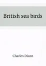 British sea birds - Charles Dixon