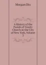 A History of the Parish of Trinity Church in the City of New York, Volume 3 - Dix Morgan