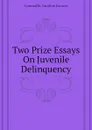 Two Prize Essays On Juvenile Delinquency - Cornwallis Caroline Frances