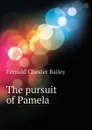 The pursuit of Pamela - Fernald Chester Bailey