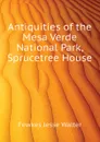 Antiquities of the Mesa Verde National Park, Sprucetree House - Fewkes Jesse Walter