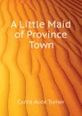 A Little Maid of Province Town - Curtis Alice Turner