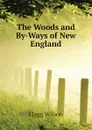 The Woods and By-Ways of New England - Flagg Wilson