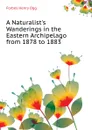 A Naturalist.s Wanderings in the Eastern Archipelago  from 1878 to 1883 - Forbes Henry Ogg