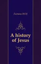 A history of Jesus - W. H. Furness