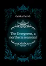 The Evergreen, a northern seasonal - Geddes Patrick