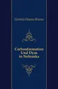 Carbonformation Und Dyas in Nebraska - Geinitz Hanns Bruno