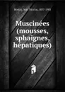 Muscinees (mousses, sphaignes, hepatiques) - Jean Nicolas Boulay