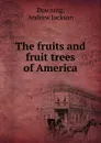 The fruits and fruit trees of America - A.J. Downing