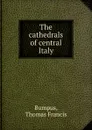 The cathedrals of central Italy - Thomas Francis Bumpus