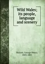 Wild Wales. Its people, language and scenery - George Henry Borrow