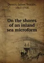 On the shores of an inland sea microform - James Teackle Dennis