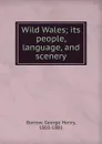 Wild Wales - George Henry Borrow