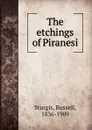 The etchings of Piranesi - Russell Sturgis