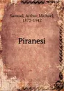 Piranesi - Arthur Michael Samuel