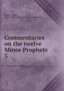 Commentaries on the twelve Minor Prophets. Volume 3. Jonah, Micah, Nahum - Calvin Jean, John Owen