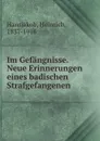 Im Gefangnisse. Neue Erinnerungen eines badischen Strafgefangenen - Heinrich Hansjakob