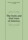 The fruits and fruit trees of America - A.J. Downing