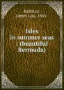 Isles in summer seas - James Law Redman