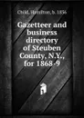 Gazetteer and business directory of Steuben County, N.Y., for 1868-9 - Child Hamilton
