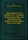 The industries of Buffalo N.Y. A resume of the mercantile and manufacturing progress of the queen city of the lakes - John F. Hart