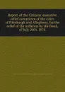 Report of the Citizens. executive relief committee of the cities of Pittsburgh and Allegheny, for the relief of the sufferers by the flood, of July 26th, 1874 - 