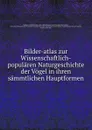 Bilder-atlas zur Wissenschaftlich-popularen Naturgeschichte der Vogel in ihren sammtlichen Hauptformen - Leopold Joseph Fitzinger