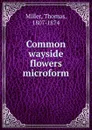 Common wayside flowers microform - Thomas Miller