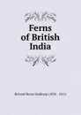 Ferns of British India - Richard Henry Beddome