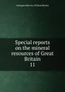 Special reports on the mineral resources of Great Britain - Geological Survey of Great Britain