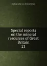 Special reports on the mineral resources of Great Britain - Geological Survey of Great Britain