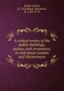 A critical review of the public buildings, statues and ornaments, in and about London and Westminster - James Ralph