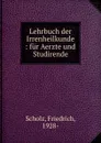 Lehrbuch der Irrenheilkunde - Friedrich Scholz