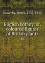 English botany. Or, coloured figures of British plants - James Sowerby