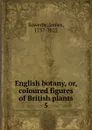 English botany. Or, coloured figures of British plants - James Sowerby