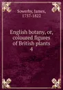 English botany. Or, coloured figures of British plants - James Sowerby