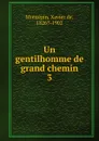 Un gentilhomme de grand chemin - Xavier de Montepin