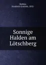 Sonnige Halden am Lotschberg - Friedrich Gottlieb Stebler