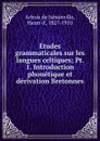 Etudes grammaticales sur les langues celtiques - Henry d'Arbois de Jubainville