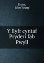 Y llyfr cyntaf Pryderi fab Pwyll - John Young Evans