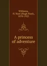 A princess of adventure - H. Noel Williams