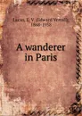 A wanderer in Paris - E. V. Lucas